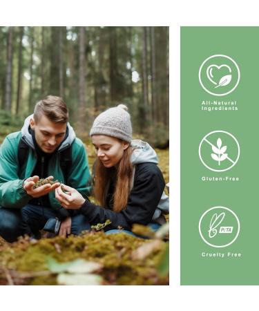 HOOLOO Hemp Oil for Adults 3000MG for Bedtime Support Unwind Relief Muscle Joint Discomfort Allergen Free 2Fl Oz Made in USA - Buy Online on GoSupps.com