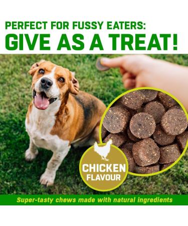 Dog Joint Care Supplements | 150 Chews with Green Lipped Mussel, Glucosamine & Chondroitin | Hemp Oil, MSM, Hyaluronic Acid, Manganese & Vitamins | Aids Stiff Joints | 1 Pot (150 Chews) - Buy Online on GoSupps.com