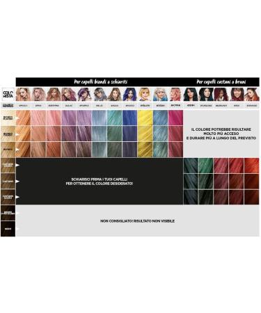 LOREAL Colour Accessories 80 ml Viola (Purple) - Pack of 1 - Buy Online on GoSupps.com