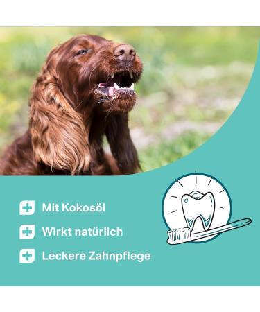 MEDIDOG Dental Pops - 250g Natural Dog Dental Care for Bad Breath & Chemical-Free Teeth Cleaning - Buy Online on GoSupps.com