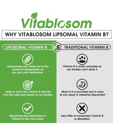 Liposomal Sublingual B Complex Vitamin Supplement - Vegan B12, B1, B2, B3, B5, B6, Folic Acid, Biotin - 4.0 oz (Pack of 2) - Buy Online on GoSupps.com