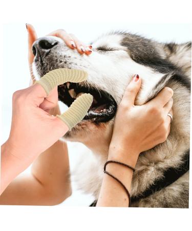 BESPORTBLE 40 Pcs comfortable toothbrush for dogs pet toothbrush and toothpaste single use toothbrush 1 count (Pack of 1) As Shownx4pcs - Buy Online on GoSupps.com