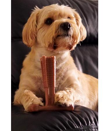 Bamboodles Peanut Butter T-Bone Dog Chew Toy - Medium | Durable & Natural Chew for Dogs - Buy Online on GoSupps.com