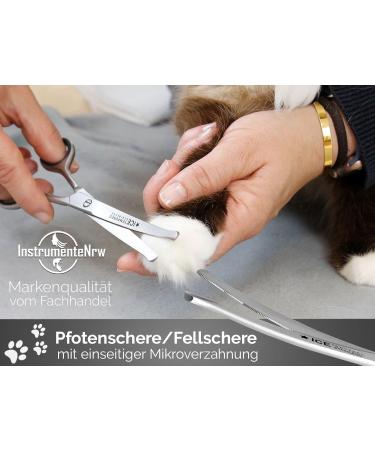 Buy Exclusive 16cm Fur & Paw Scissors - Curved Dog Hair Scissors for Grooming - Buy Online on GoSupps.com