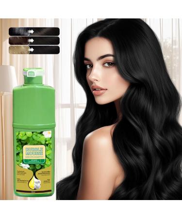  Generisch Bubble Mousse Hair Dye Shampoo 500 ml Vegetable Foam Dye Long Lasting Hair Coloring Fast Coloring Hair Bubbles Natural Mousse with Plant Dye Formula - Buy Online on GoSupps.com