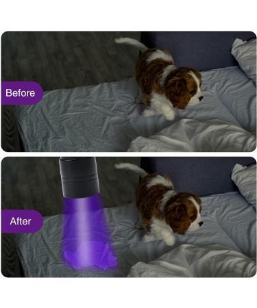 Cosoos UV Black Light Flashlight - 2 PCs Mini Pet Urine Detector with 12 LEDs - Find Urine Stains from Dogs Bed Bugs & Scorpions - No Batteries Included - Buy Online on GoSupps.com