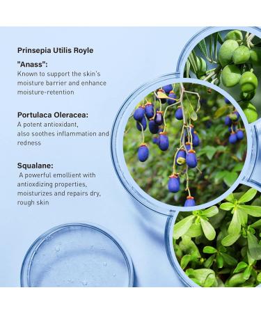 GELL FR RES Squalane+B5 Hydrate & Soothe Facial Serum - Repairing Skincare for Dry Sensitive Skin | 30ml All Skin Types - Buy Online on GoSupps.com