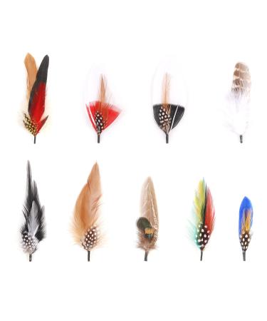 Hat Feathers 9 Pcs Assorted Natural Feather Packs Accessories for Fedora Cowboy Open Road Borges Scott Oktoberfest Trilby Hats 9 Pcs One Size