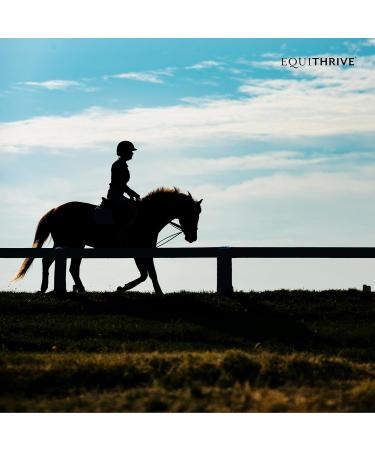 Equithrive Classic Joint Supplement Pellets for Horses - Glucosamine Chondroitin Hyaluronic Acid & MSM - 10 lbs - Optimal Joint Health for Senior Horses - Buy Online on GoSupps.com