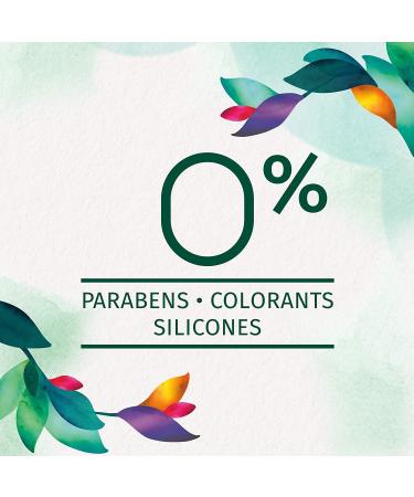 Herbal Essences Set Me Up Hair Mousse - Strong Hold (3) - 6.8 OZ Per Can - Pack of 2 - Bamboo Herbal - Buy Online on GoSupps.com