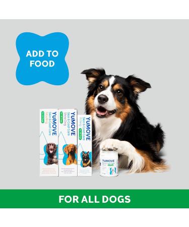 YuMOVE Skin & Coat Care Boost | Previously YuDERM Boost | Nutritional Supplement for Dogs Coat Skin and Nails | 180 scoops | Packaging may vary 91 g (Pack of 1) - Buy Online on GoSupps.com