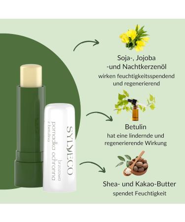 SYLVECO Birch Lip Balm with Betulin - Natural Lip Care for Men & Women - 4.6g | Shop Internationally - Buy Online on GoSupps.com