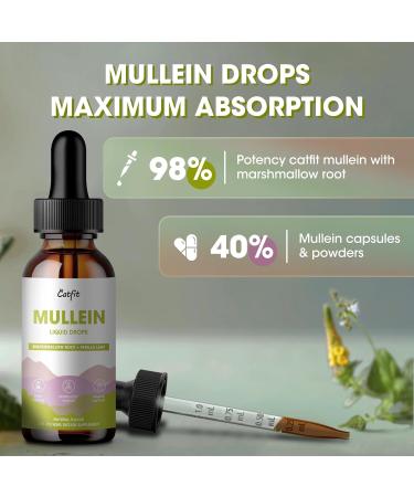 Mullein Drops for Lungs Mullein Leaf Extract with Marshmallow Root Perilla & Astragalus for Respiratory Support Immune Boost & Lung Detox Natural Herbal Formula Vegan 2 fl oz 2 Fl Oz (Pack of 1) - Buy Online on GoSupps.com