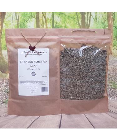 Health Embassy Feuille de Plantain Majeur Tisane | Plantago Major L | Greater Plantain Leaf (50g) - Buy Online on GoSupps.com