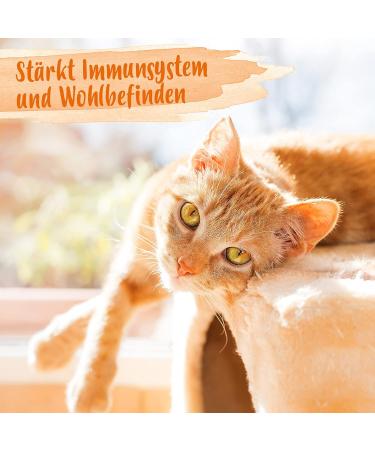 Ida Plus Heilmoor & Beer Yeast for Dogs & Cats - Optimal Digestion & Gut Health - 1000g & 200g - Natural Peat & B-Vitamins - Buy Online on GoSupps.com