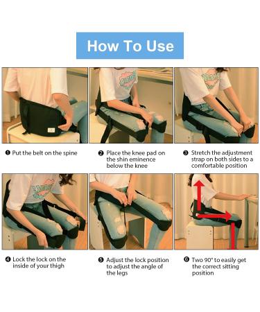 Back Brace for Lower Back Pain Relief - Lumbar Support Belt for Sciatica, Herniated Disc, Scoliosis - Improve Posture & Keep Back Straight - Men and Women - Medium/Large - Buy Online on GoSupps.com