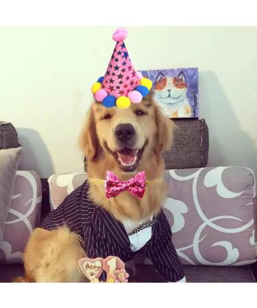 Birthday Sparty Bandana Hats Set for Girls & Dogs | 1st Birthday Party Decor with Paw Print Balloons & Happy Birthday Banner - Buy Online on GoSupps.com