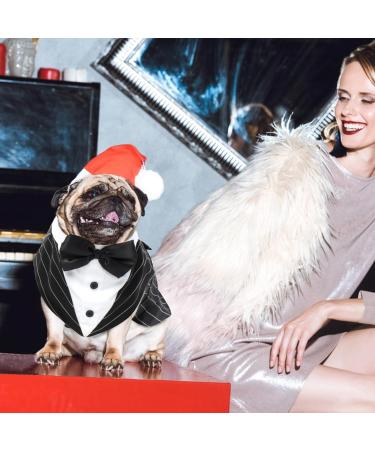 Dog Smoking Suit | Stylish Striped Gentleman Wedding Outfit for Dogs | Formal Pet Clothing - Buy Online on GoSupps.com