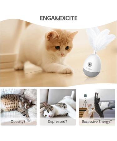 PETGEEK Laser Pointer Cat Toy - Interactive Kitten Toy with Bird Squeaky - Automatic Rotating Cat Laser Pointer - Indoor Cat Toys Gray - Buy Online on GoSupps.com