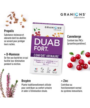 Duab Fort Confort Urinary GRANIONS | 7 sachets of Cranberry Propolis Heather and D-Mannose to prevent and relieve women's urinary discomfort | Made in France | Patented formula - Buy Online on GoSupps.com