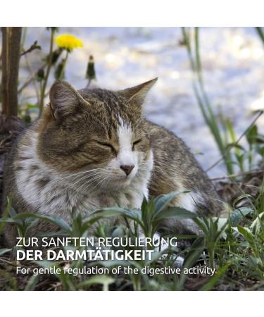 Aniforte Heilmoor for Cats & Dogs 300g - Boost Digestive & Immune Health Naturally - Buy Online on GoSupps.com