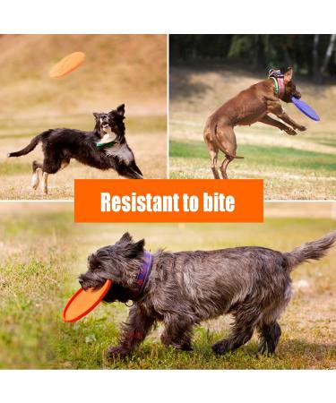Xubx Dog Frisbees Set - 3 Thick Rubber Frisbees for Training Catching & Playing | Durable Dog Toys for All Breeds - Buy Online on GoSupps.com