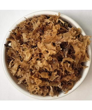Health Embassy Irish Moss Tea | Mousse de Irlandaise Tisane | Chondrus crispus L | Loose Herbal Tea (100g) - Buy Online on GoSupps.com