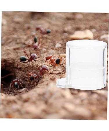 BESPORTBLE 2pcs Ant Water Feeder Acrylic Ant Feeders Professional Ants Feeder Tortoise Water Dish Transparent - Buy Online on GoSupps.com