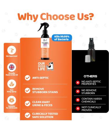 Carpet Cleaner Spray - Stain Remover & Deodorizer | Pro-Bacteria Power 250ml - Buy Online on GoSupps.com