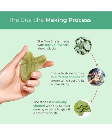 Plantifique Gua Sha Facial Tools - Anti Aging GuaSha Massage Tool for Face Sculpting - Jawline Sculptor and Skincare Routine Essential - Buy Online on GoSupps.com