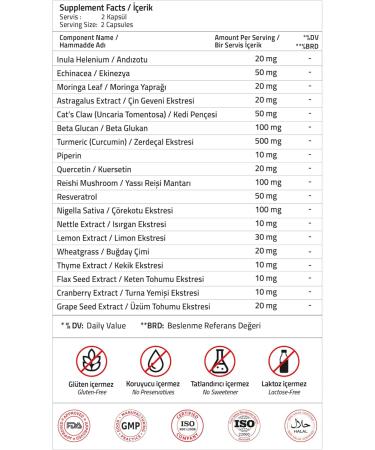 VALIDUS Curcumin 500 mg + Piperin + Inula Henelium + Astragalus + Quercetin + Reishi + Moringa 60 Capsules (Drcaps) - Buy Online on GoSupps.com