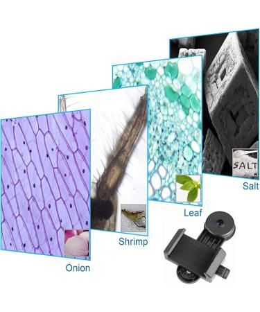 Celticbird Microscope Smartphone Camera Adapter | Built-in WF 16X Eyepiece Accessory - Buy Online on GoSupps.com