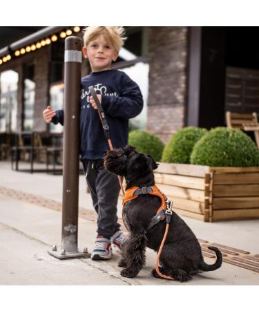 DOG Copenhagen Comfort Walk Pro Harness - Size XL Black - Buy Online on GoSupps.com