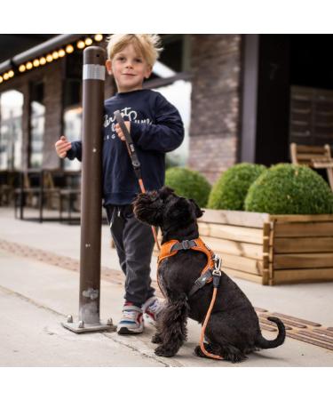 Dog Copenhagen V2 Comfort Walk Pro Harness XL - Wild Rose Pink | International Shipping - Buy Online on GoSupps.com