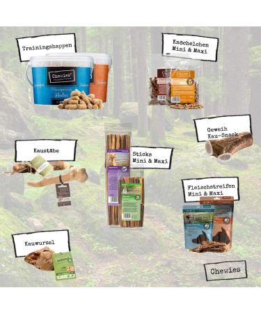Chewies Olive Wood Chewing Bone Dog Toys - 100% Natural Durable & Risk-Free - Size L for Dogs Up to 30kg (24 Pieces Pack) - Buy Online on GoSupps.com