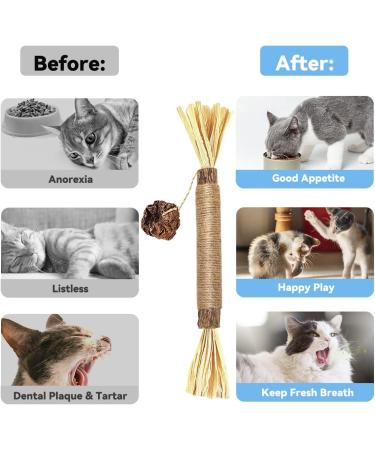 Aucenix Cat Chew Toy Silvercine Sticks for Indoor Cats Natural Matatabi Cat Teeth Cleaning Toy Kitten Teething Chew Stick for Kitty Pets Exercise Playing Chewing (3 Sticks) - Buy Online on GoSupps.com