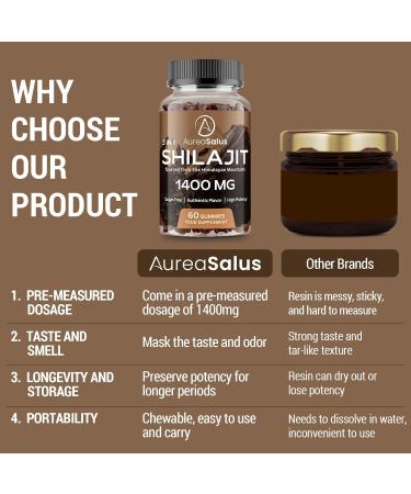 Shilajit Gummies 1400mg Shilajit Supplement with Chaga and Ashwagandha Original from Himalayan with Fulvic & Humic Acid and 85+ Minerals for Energy Immunity & Focus Sugar-Free 120 Gummies 60 count (Pack of 2) - Buy Online on GoSupps.com