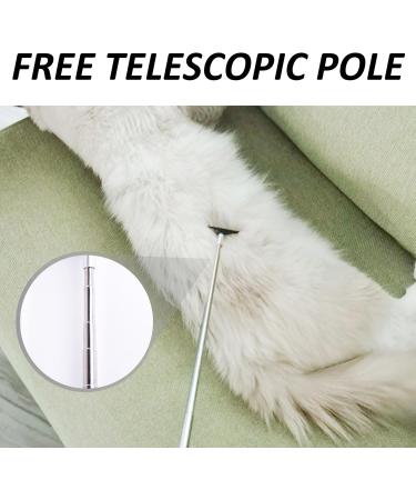 Removable Back Scratcher with 2 Replacement Heads & Storage Bag | Portable Stainless Steel Itching Massage Device (21 59 cm) - Buy Online on GoSupps.com