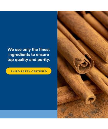 Natural Factors WellBetX CinnamonRich Extract 150 mg 60 Capsules - Buy Online on GoSupps.com