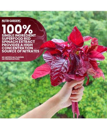 Vita Spinach Powder - Natural Nitric Oxide Booster for Energy Endurance & Blood Flow - Red Spinach Extract Superfood Supplement (30 Servings - Buy Online on GoSupps.com