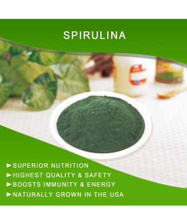 DOL-Spirulina Powder 16 Ounce Substitute protein powder Fitness food Spirulina on Earth - 100% Vegetarian 1LB 16 Ounce (Pack of 1) - Buy Online on GoSupps.com