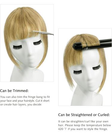 Yamel Bangs Hair Clip in Bangs Human Hair Extensions Honey Blonde Flat Face Fringe Bangs Air Bangs Human Hair Pieces for Women Honey Blonde (Human Hair) - Buy Online on GoSupps.com