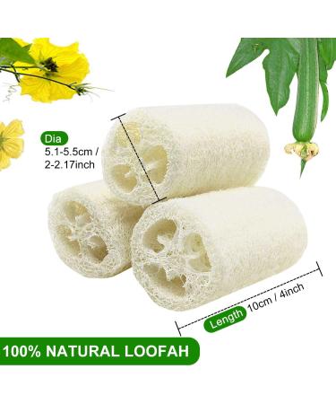 6 Pieces Natural Luffa Sponge Set | Exfoliate Dead Skin Ideal for Bath Shower & Kitchen Scrub | Eco-Friendly Personal Care & Decoration - Buy Online on GoSupps.com