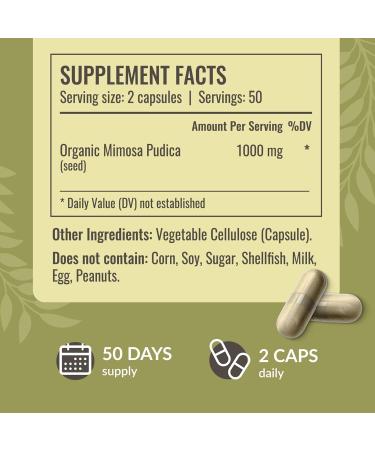 HERBAMAMA Mimosa Pudica Seed Capsules - 1000mg Mimosa Pudica Extract Powder for Digestive Cleanse & Detox - Vegan Non-GMO Digestive Support Supplement 100 Caps (Pack of 2) - Buy Online on GoSupps.com
