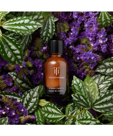 True Botanicals Organic Vitamin C Booster Powder - Clean Non-Toxic Skincare (.49 oz | 14 g) - Buy Online on GoSupps.com