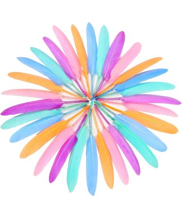 FeelfunFeather 240pcs Macaron Goose Cochettes Feathers 4-6 inch Bulk Natural - Wedding Party Halloween DIY Crafts - Buy Online on GoSupps.com