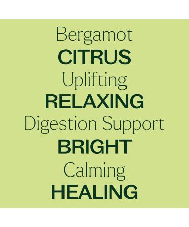Plant Therapy Bergamot Essential Oil - 100% Pure Undiluted Aromatherapy - Therapeutic Grade 100 mL (3.3 oz) - International Shipping Available - Buy Online on GoSupps.com