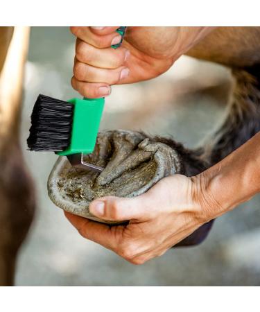 DHinkyoung Horse Hoof Pick Brush with Handle Sturdy Hoofpick Brush Horseshoe Brush Horses Hoof Groove Cleaner Horseshoe Repair Tool for Horses Donkey Goat Tires and Hiking Boots(Random Colour) - Buy Online on GoSupps.com