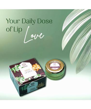 PRZX Beeswax Lip Balm 8 gm | Natural Lip Care with Olive Jojoba & Cocoa Butter - Buy Online on GoSupps.com