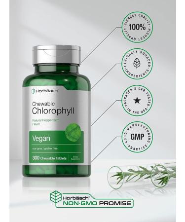Chlorophyll Tablets 300 Chewables - Natural Peppermint Flavor, Vegan, Non-GMO, Gluten Free by Horbaach - Buy Online on GoSupps.com